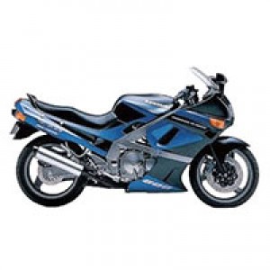 Carene Kawasaki ZZR600 1998-2003 Economici
