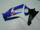 Blu ABS Kits Carena Moto Suzuki GSXR 1000 K7 2007-2008