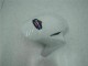 Blu Bianco Carrozzeria Moto & Carena Moto Honda CBR 1000 RR 2004-2005 Blu Bianco Carrozzeria Moto & Carena Moto Honda CBR 1000 RR 2004-2005