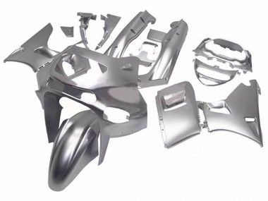 Carena Moto Kawasaki ZZR600 1998-2003 - Argento Economici