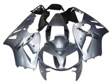 Carena Moto Kawasaki ZX12R 2000-2001 - Argento Economici