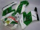 Verde Bianco Carene Moto Honda CBR 1000 RR 2004-2005 Verde Bianco Carene Moto Honda CBR 1000 RR 2004-2005