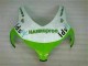Verde Bianco Kits Carene Moto Completa Honda CBR 1000 RR 2008-2011 Verde Bianco Kits Carene Moto Completa Honda CBR 1000 RR 2008-2011