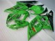 Verde Carena Moto Suzuki GSXR 1000 K5 2005-2006 Verde Carena Moto Suzuki GSXR 1000 K5 2005-2006