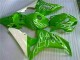 Verde Carene Moto Honda CBR 1000 RR 2006-2007 Verde Carene Moto Honda CBR 1000 RR 2006-2007