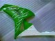 Verde Carene Moto Honda CBR 1000 RR 2006-2007 Verde Carene Moto Honda CBR 1000 RR 2006-2007