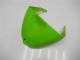 Verde Kit Carena Moto & Plastica Moto Kawasaki ZX6R 2005-2006 Verde Kit Carena Moto & Plastica Moto Kawasaki ZX6R 2005-2006