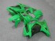 Verde Kit Carenatura Moto Kawasaki EX250 2008-2012 Verde Kit Carenatura Moto Kawasaki EX250 2008-2012