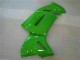 Verde Kits Carene Moto Kawasaki EX650 2006-2008 Verde Kits Carene Moto Kawasaki EX650 2006-2008