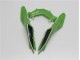 Verde Nero ABS Plastica Moto & Carenatura Moto Kawasaki EX300 2013-2016 Verde Nero ABS Plastica Moto & Carenatura Moto Kawasaki EX300 2013-2016
