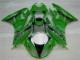 Verde Nero LeoVince Carene Moto Kawasaki ZX6R 2009-2012 Verde Nero LeoVince Carene Moto Kawasaki ZX6R 2009-2012