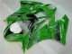 Verde Nero LeoVince Carene Moto Kawasaki ZX6R 2009-2012 Verde Nero LeoVince Carene Moto Kawasaki ZX6R 2009-2012